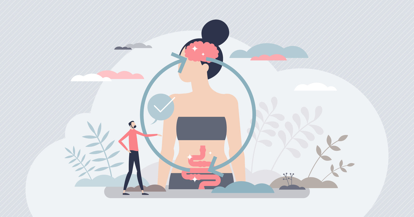 Warum werden wir satt – und warum manchmal nicht?