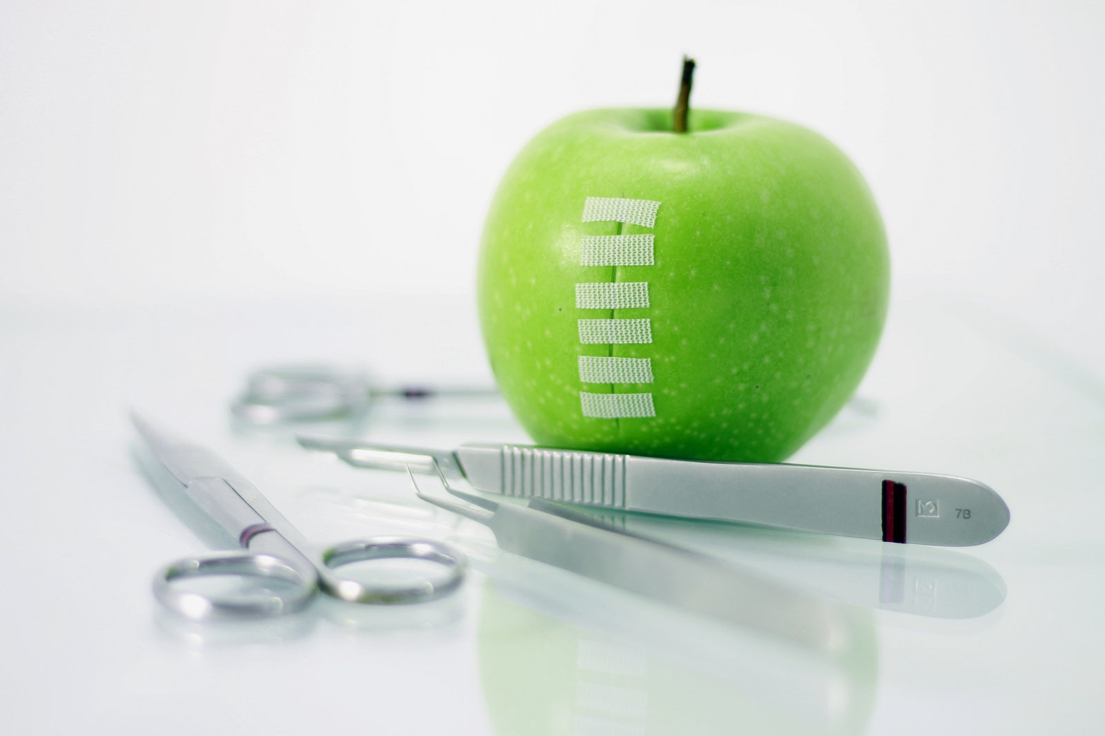 Ernährung und Wunde