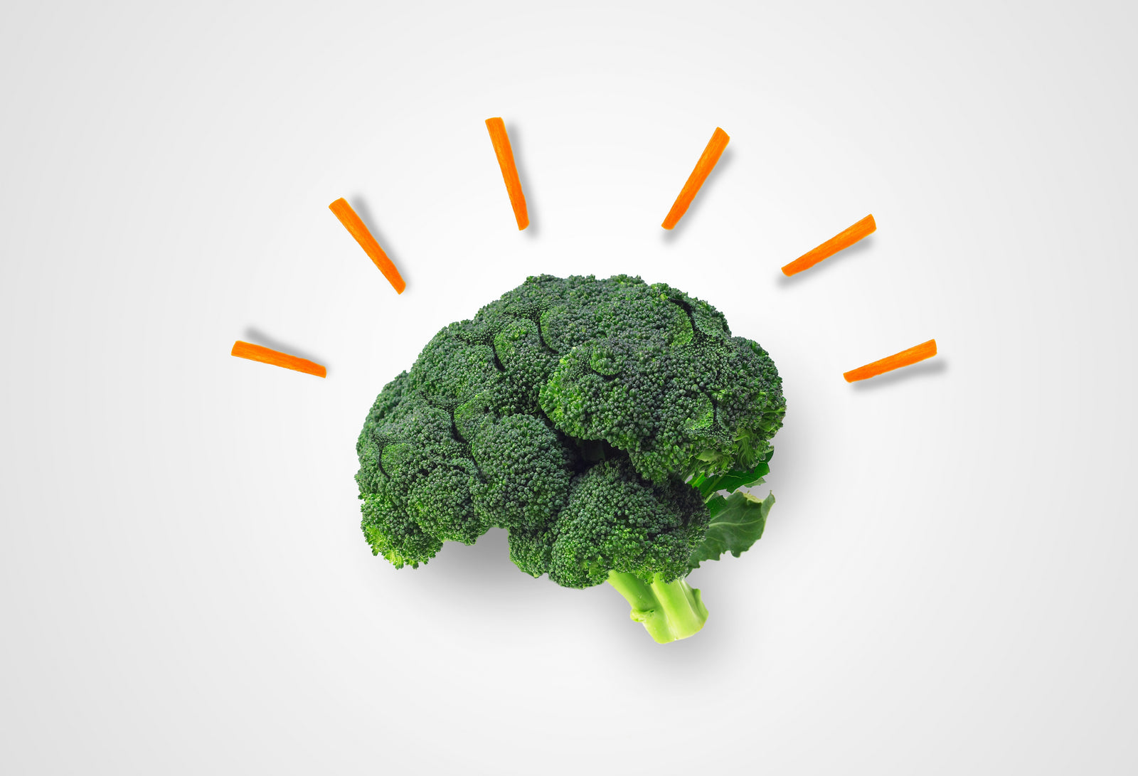 Brain Food