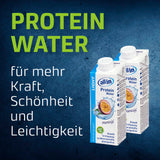 all in® LIGHT Maracuja (14 x 250 ml)