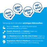 all in® LIGHT Schokolade (14 x 250 ml)