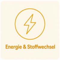 Energie & Stoffwechsel