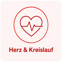 Herz & Kreislauf