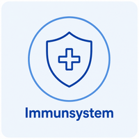 Immunsystem