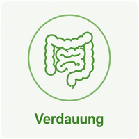 Verdauung