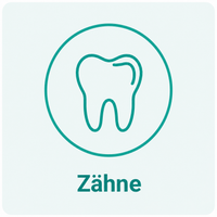 Zähne