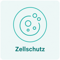 Zellschutz