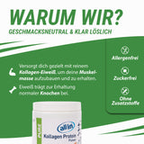 all in® PURE KOLLAGEN Protein Pulver (1 x 150 g)