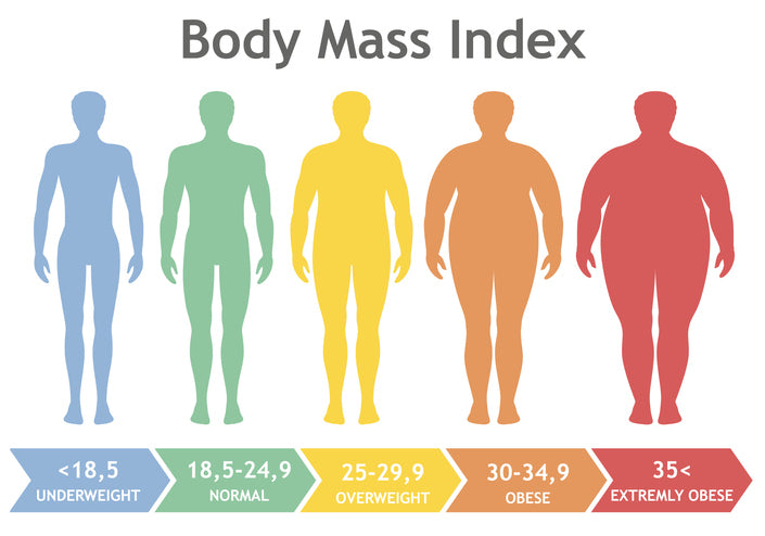 Bild zur Darstellung der BMI Werte und die dazugehörige beispielhafte Figur einer Person 
