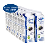 all in® COMPLETE Joghurt Johannisbeere (14 x 250 ml)